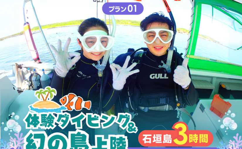 ウミガメ　シュノーケリング