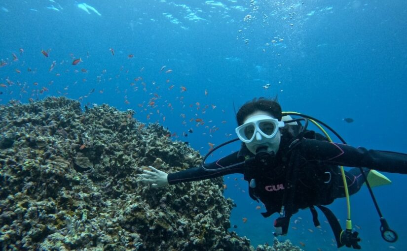 体験ダイビング