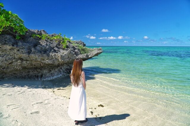 石垣　ジャングルツアー