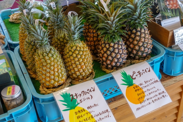 石垣島　パイナップル　パイン