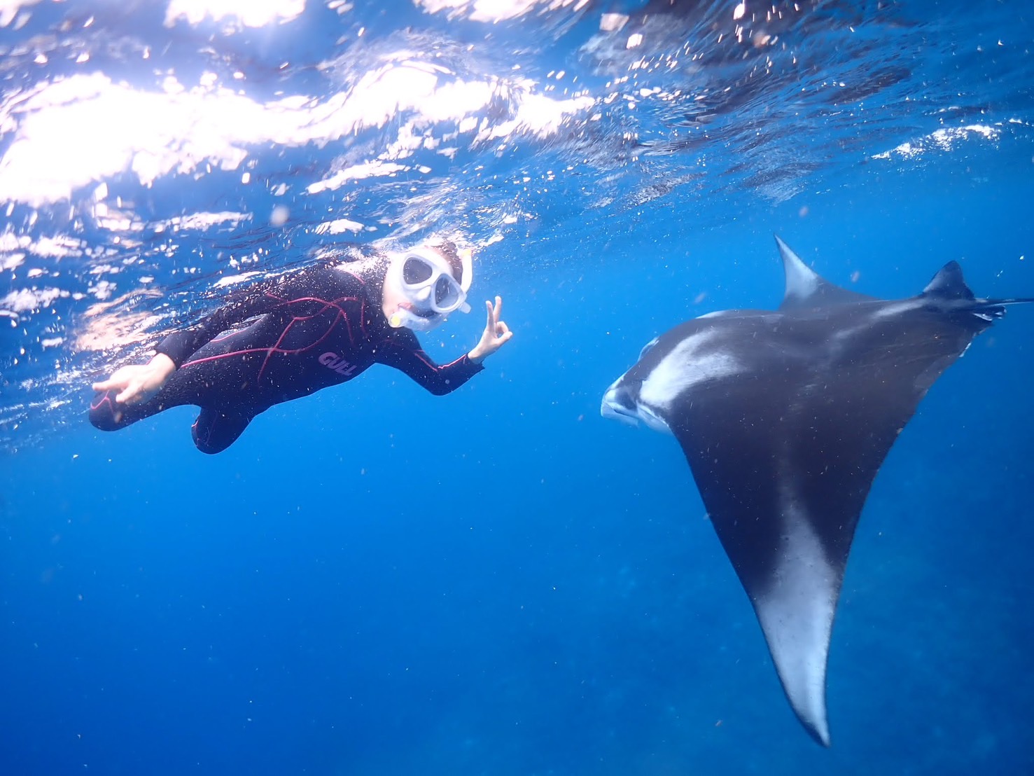 【石垣島/1日】人気3スポットを巡る☆幻の島上陸＆石西礁湖・ウミガメシュノーケリング〈GoProレンタル無料〉（No.476）