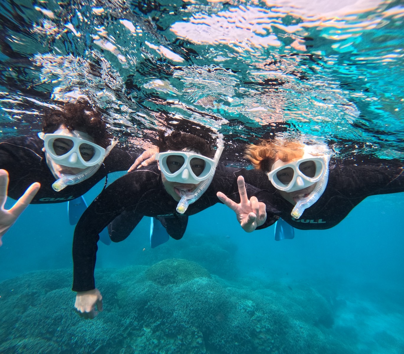 【石垣島/PM半日】日本一のサンゴ礁＆ウミガメシュノーケリング！〈写真データプレゼント〉（No.478）
