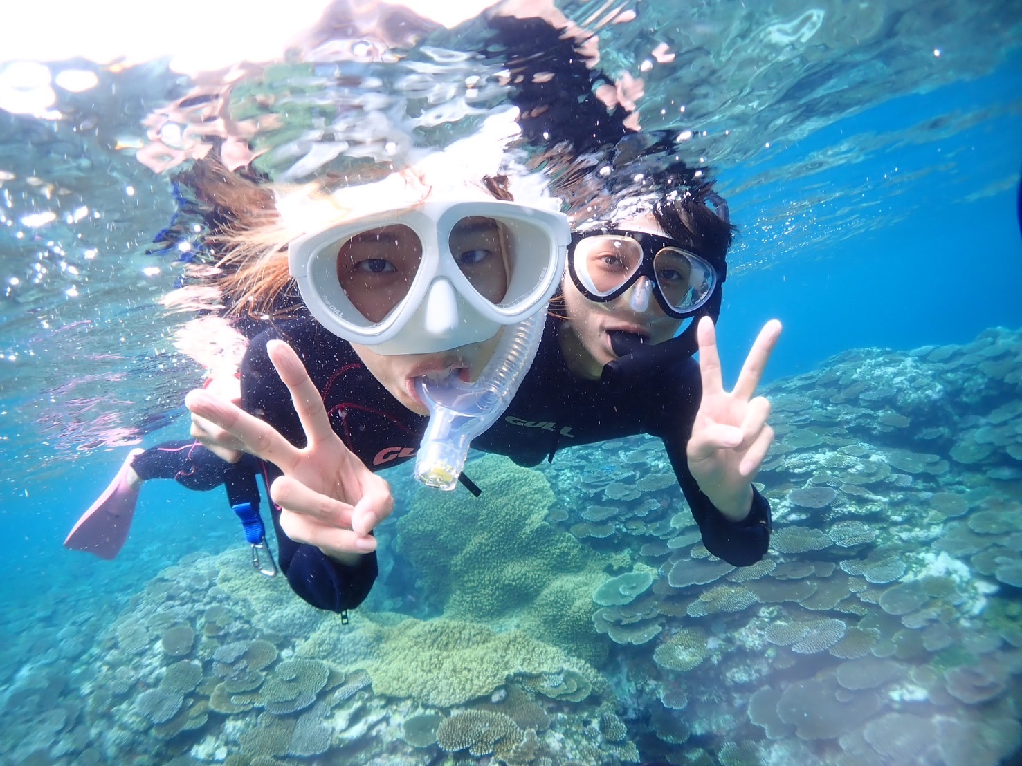 【石垣島/1日】人気3スポットを巡る☆幻の島上陸＆石西礁湖・ウミガメシュノーケリング〈GoProレンタル無料〉（No.476）