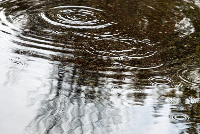 雨　水たまり
