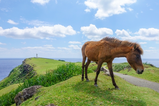 石垣島周辺の離島へ行こう！八重山離島一覧！