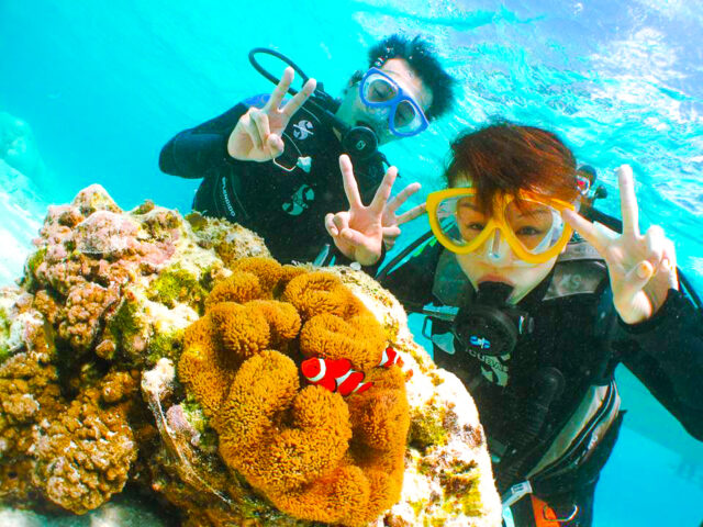 石垣島　ダイビング　熱帯魚