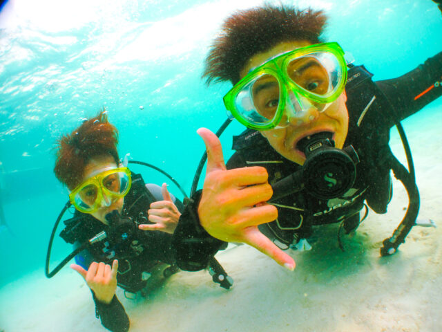 石垣島　ダイビング　熱帯魚