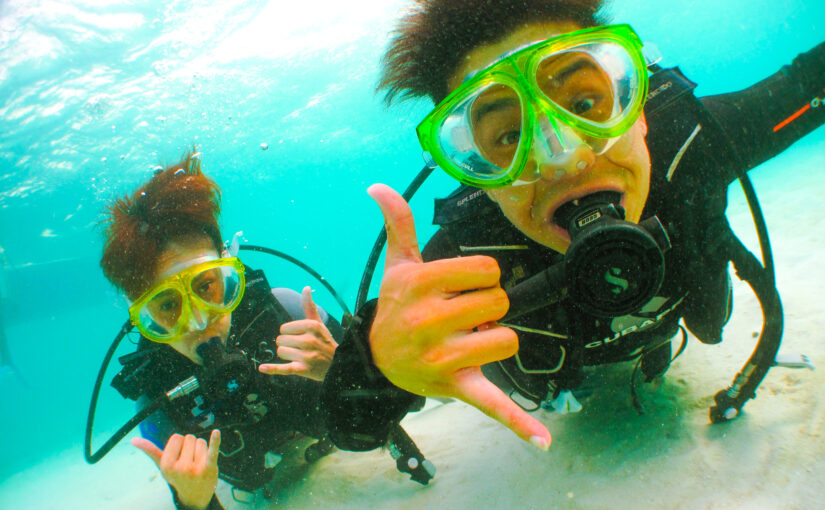 石垣島　ダイビング　熱帯魚