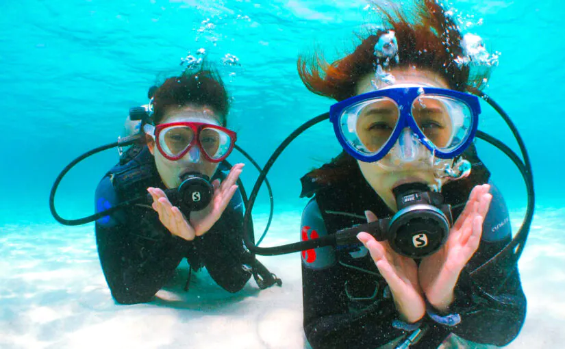 石垣島　ダイビング　熱帯魚