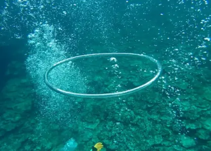 石垣島でダイビング体験