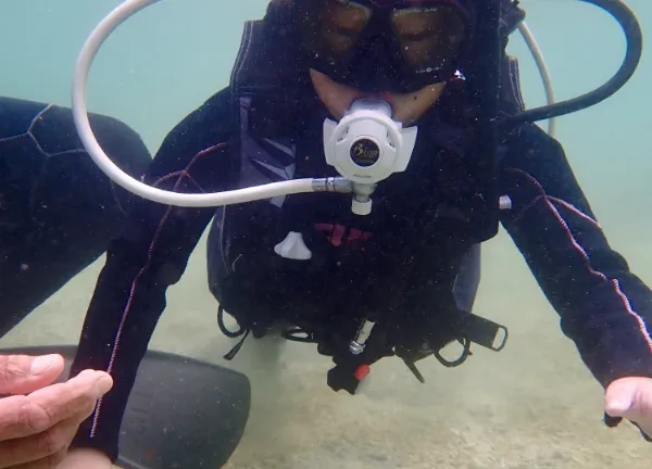 【石垣島/1日/貸切】初心者も経験者も楽しめる!完全プライベートなダイビングチャーターツアー☆プランカスタマイズ可能 《前日予約OK・インストラクターの指導付き》(No.256)