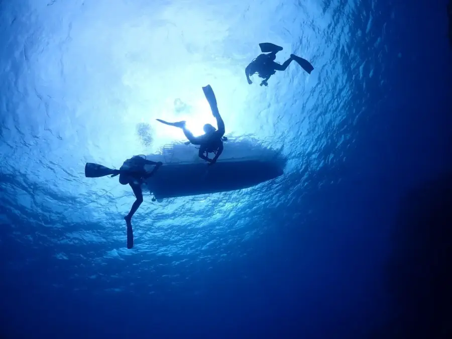 【石垣島/1日/貸切】初心者も経験者も楽しめる!完全プライベートなダイビングチャーターツアー☆プランカスタマイズ可能 《前日予約OK・インストラクターの指導付き》(No.256)