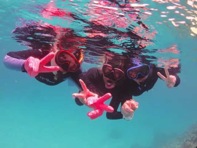 ガイド付きで初めてのシュノーケリングも安心