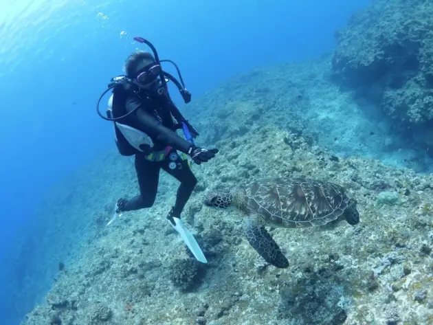 【石垣島/半日/貸切】ダイビング初心者も安心◎自由に楽しむダイビングチャーターツアー《前日予約OK・インストラクターの指導付き》(No.255)