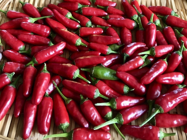 石垣島　名物　お土産