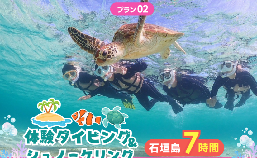 ウミガメ　シュノーケリング