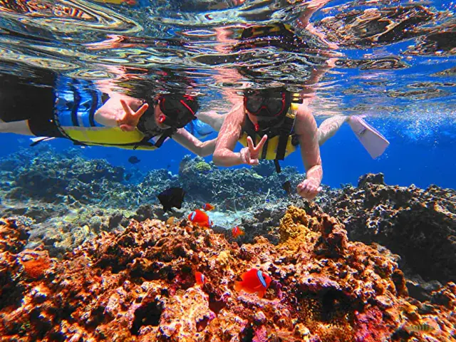 パナリ島・黒島・幻の島 シュノーケリング　石垣島　レンタル