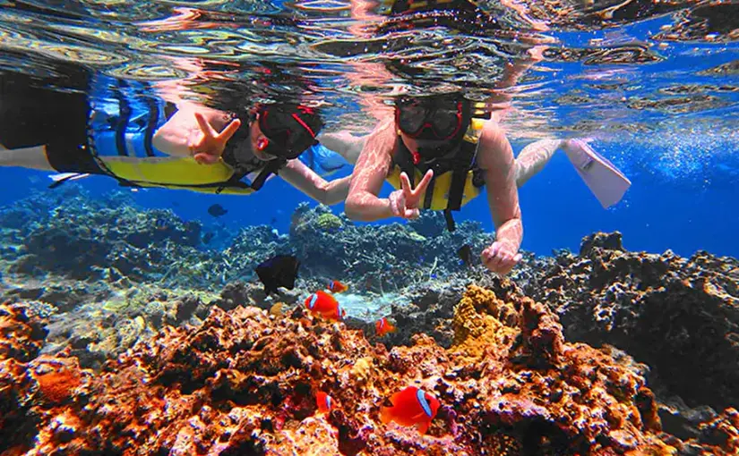 パナリ島・黒島・幻の島 シュノーケリング