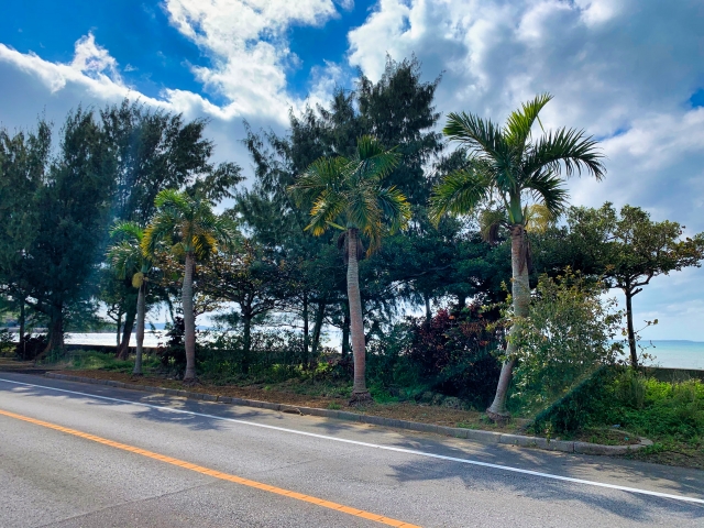 石垣島　マラソン　2026 海沿い