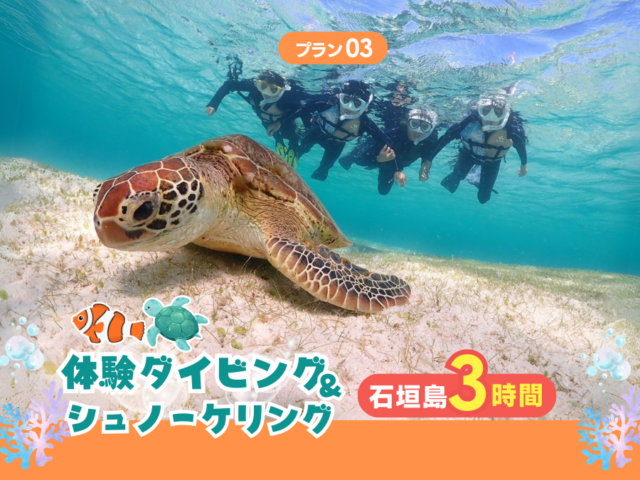 Sea Turtles and Snorkeling