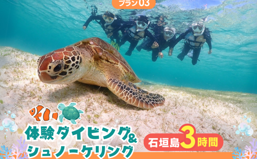 ウミガメ　シュノーケリング