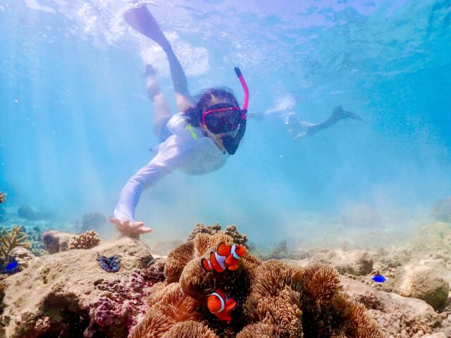 シュノーケリング　シュノーケル　海