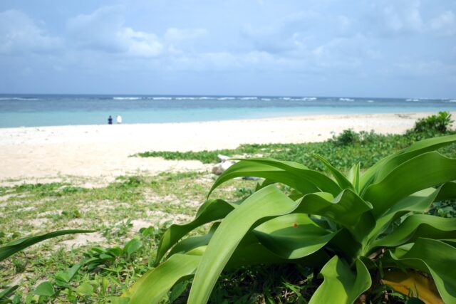 米原ビーチ　ビーチ　海