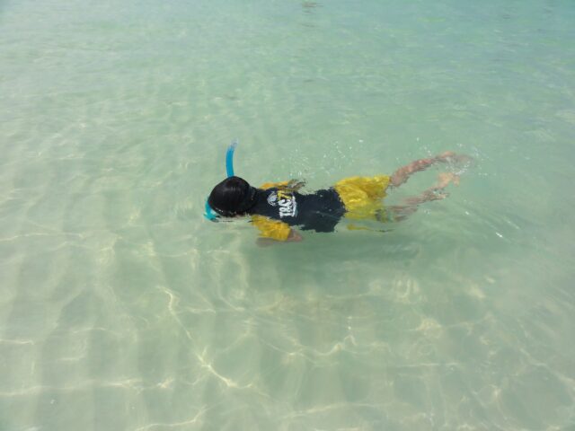 シュノーケリング 男の子 子供