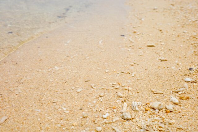 砂浜 ビーチ 朝のビーチ