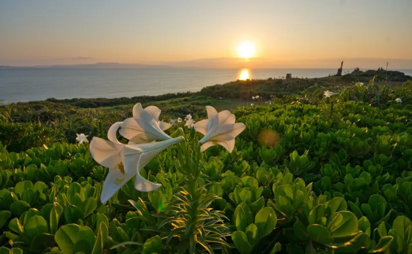 御神崎灯台　夕日　サンセット
