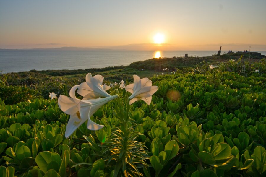 御神崎灯台　夕日　サンセット