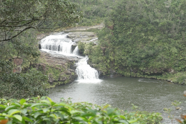 石垣島の原生林の中を流れる荒川の滝などの景勝地。
