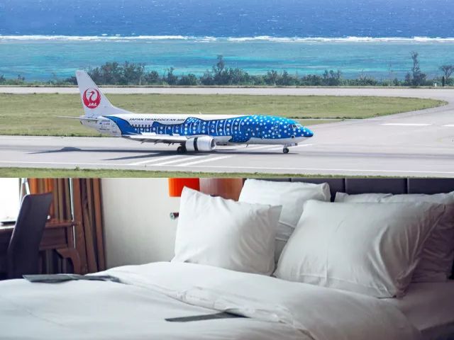 石垣島へのハネムーン旅行。JTAのジンベエジェットによるフライトと、リゾートホテルの快適な客室。