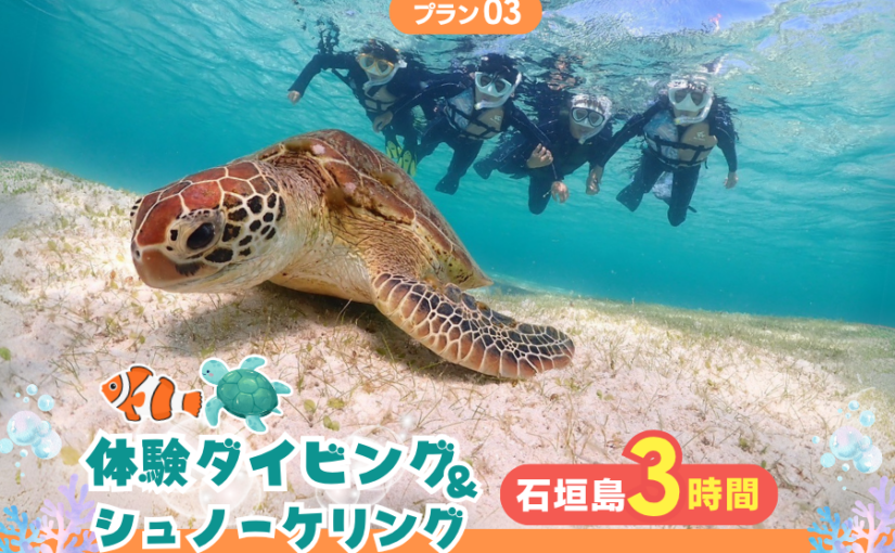 体験ダイビング＆シュノーケリング3時間