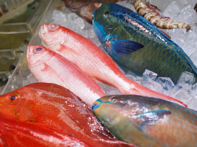 市場 鮮魚