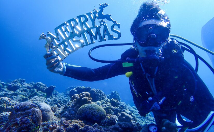ダイビング　クリスマス