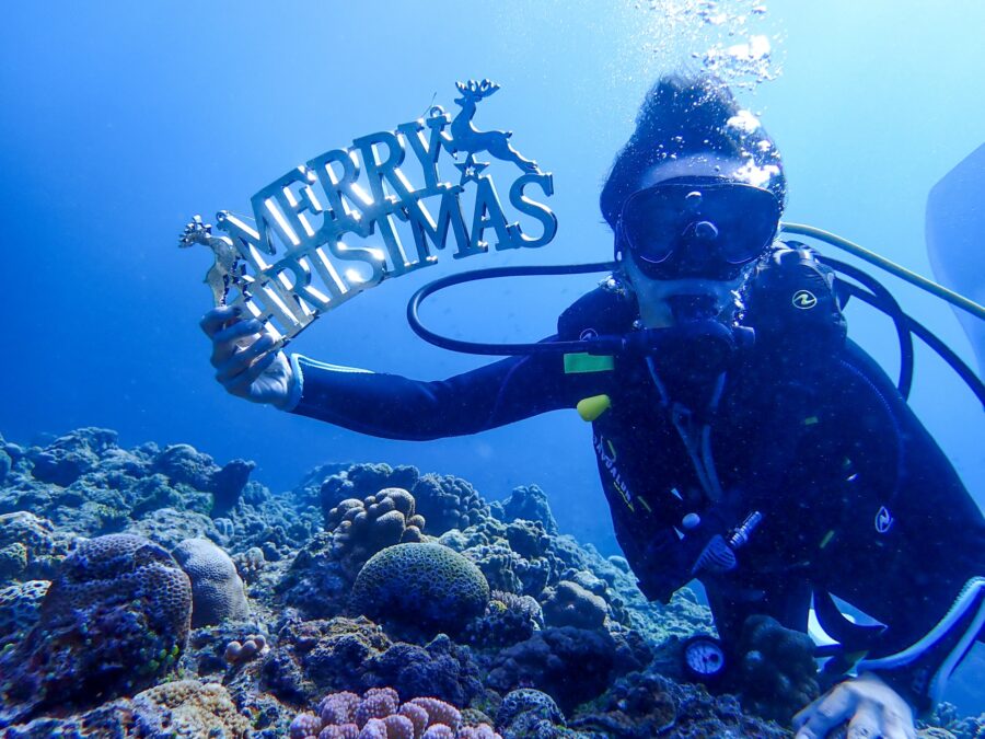 ダイビング　クリスマス