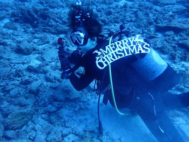 クリスマス　ダイビング