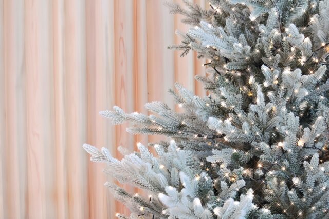 クリスマス　ツリー　ライトアップ
