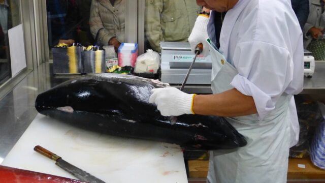 石垣島 マグロの解体ショー マグロ
