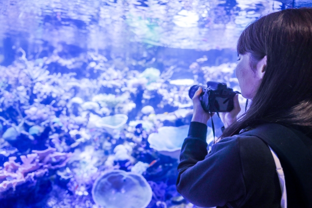 石垣島 水族館