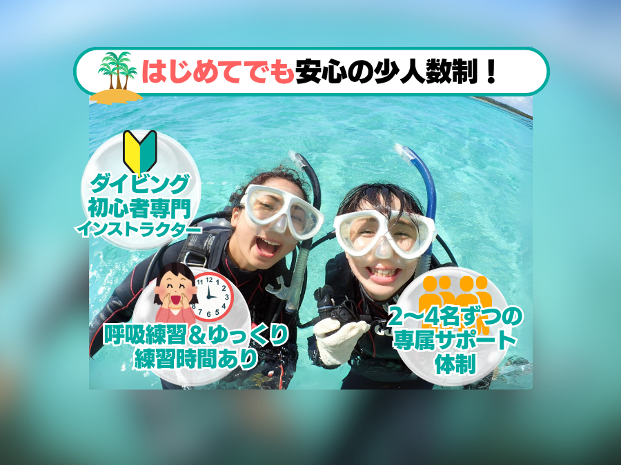 【石垣島/午後半日】初心者専門☆ウミガメ遭遇率90%以上！体験ダイビング1dive＆シュノーケリングツアー《最新機種での写真＆動画プレゼント》（No.482）