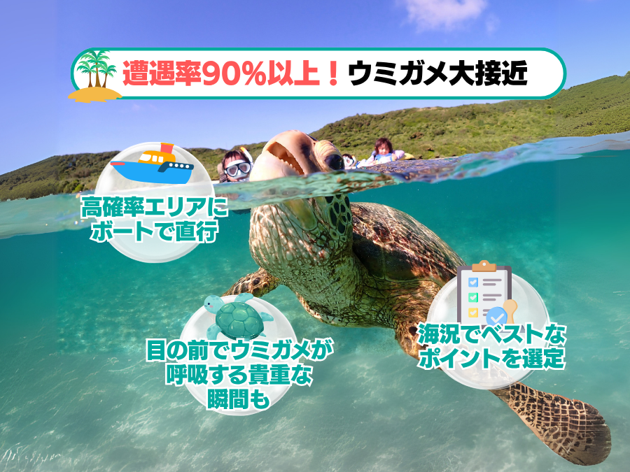 【石垣島/午後半日】初心者専門☆ウミガメ遭遇率90%以上！体験ダイビング1dive＆シュノーケリングツアー《最新機種での写真＆動画プレゼント》（No.482）