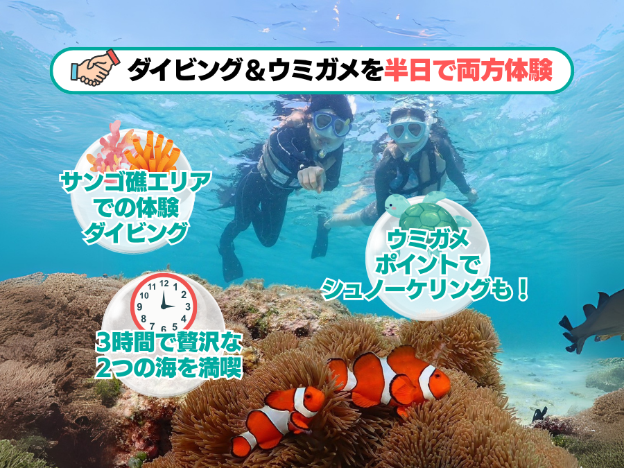 【石垣島/午後半日】初心者専門☆ウミガメ遭遇率90%以上！体験ダイビング1dive＆シュノーケリングツアー《最新機種での写真＆動画プレゼント》（No.482）