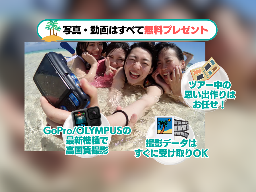 【石垣島/午後半日】初心者専門☆ウミガメ遭遇率90%以上！体験ダイビング1dive＆シュノーケリングツアー《最新機種での写真＆動画プレゼント》（No.482）