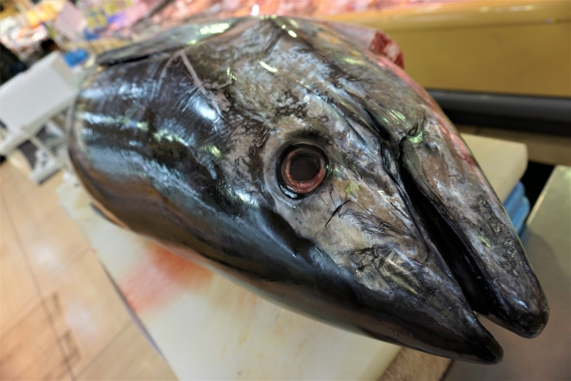 石垣島 マグロの解体ショー
