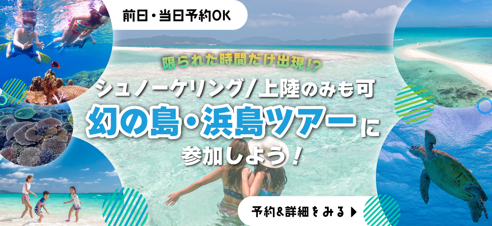 幻の島ツアーKV_pc